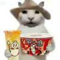 small cat old brother