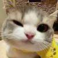 AAA.西朗1号线gz metro