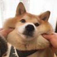 人间别久不成悲