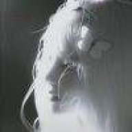 ℳ̶̶̶̶♡̶҉戒爱꧔ꦿ℘