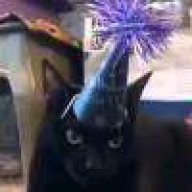 踩踩踩踩踩踩从