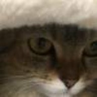 66 ㅤㅤㅤㅤㅤㅤㅤㅤ