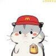 加加林真是苏联人