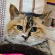 雨云散，束阳现