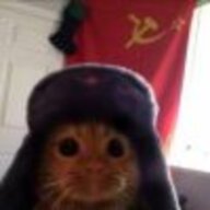 地狱猫悲催车长