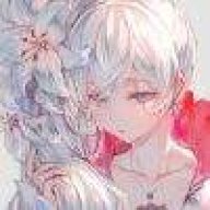 Dazzle Chief-Launching