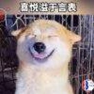 充满阳光的一天