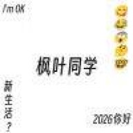 很菜的枫叶同学