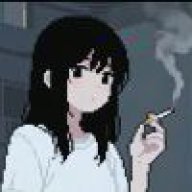 中要周延词项三