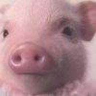 ゞ依唸烟雨楼╮