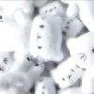 扛着小黑到处跑