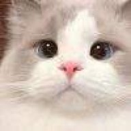 偏爱困扰了你么