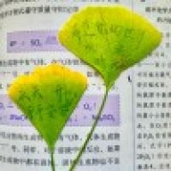 顿饭不落，羊肉汤