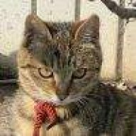 随时随地呼叫小王