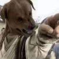 学过射箭所以击靶很厉害