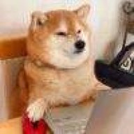 北辰戒不掉网瘾