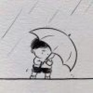 ❀树叶缝隙下de阳光๑