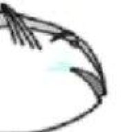 𓄂kꫛⅈᧁꫝt𓆃月光