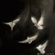 Clione