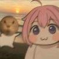 。。。。/。