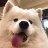 我要O泡