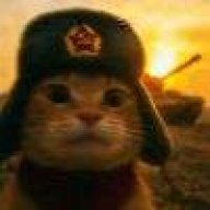 Stupid`123