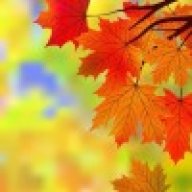 LeafLeave