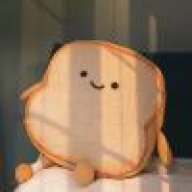 Q🍞Q