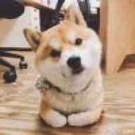 划船不用桨bbb