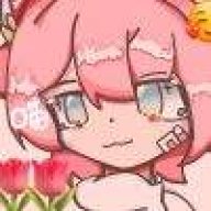 双子晚宴