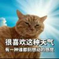 猫头洛夫斯基