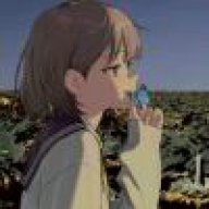 枫林尽染
