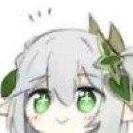 住在雨林里的小和尚