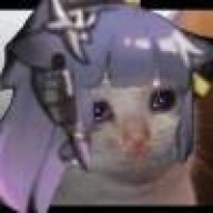 林猫来啦嗨害嗨