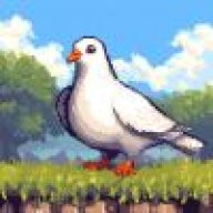 Pigeon🕊️