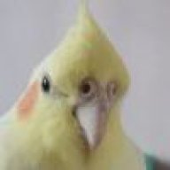 lianyh