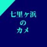 七里ヶ浜のカメ