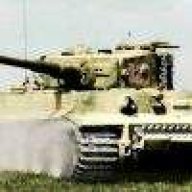 Tiger bereit zum Angriff