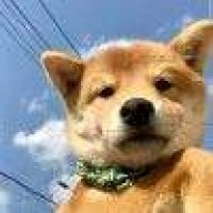 sky流量卡找我