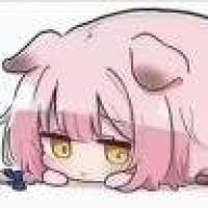竹影柔潔