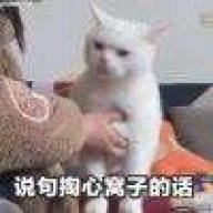 清粥a
