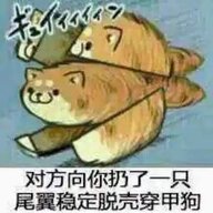 尾翼稳定脱壳狗