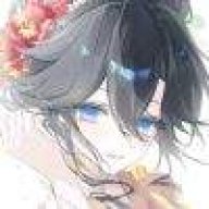 爱莉希雅梵蒂冈师德师风