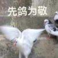 鸽了GUGUGAGA