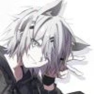 橘猫风