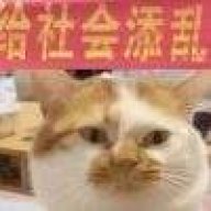 过不了七夕的蛤蟆