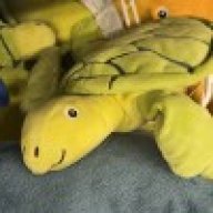 ssssssssss