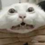 奉系猫大帅