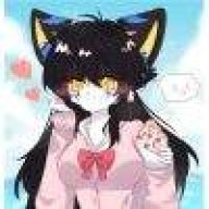 夜兰1