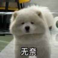 我的若若大佬啊～